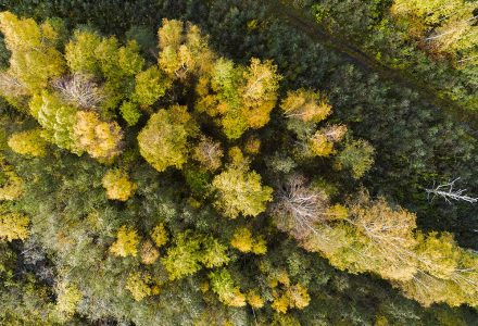 how_to_practice_sustainable_living
